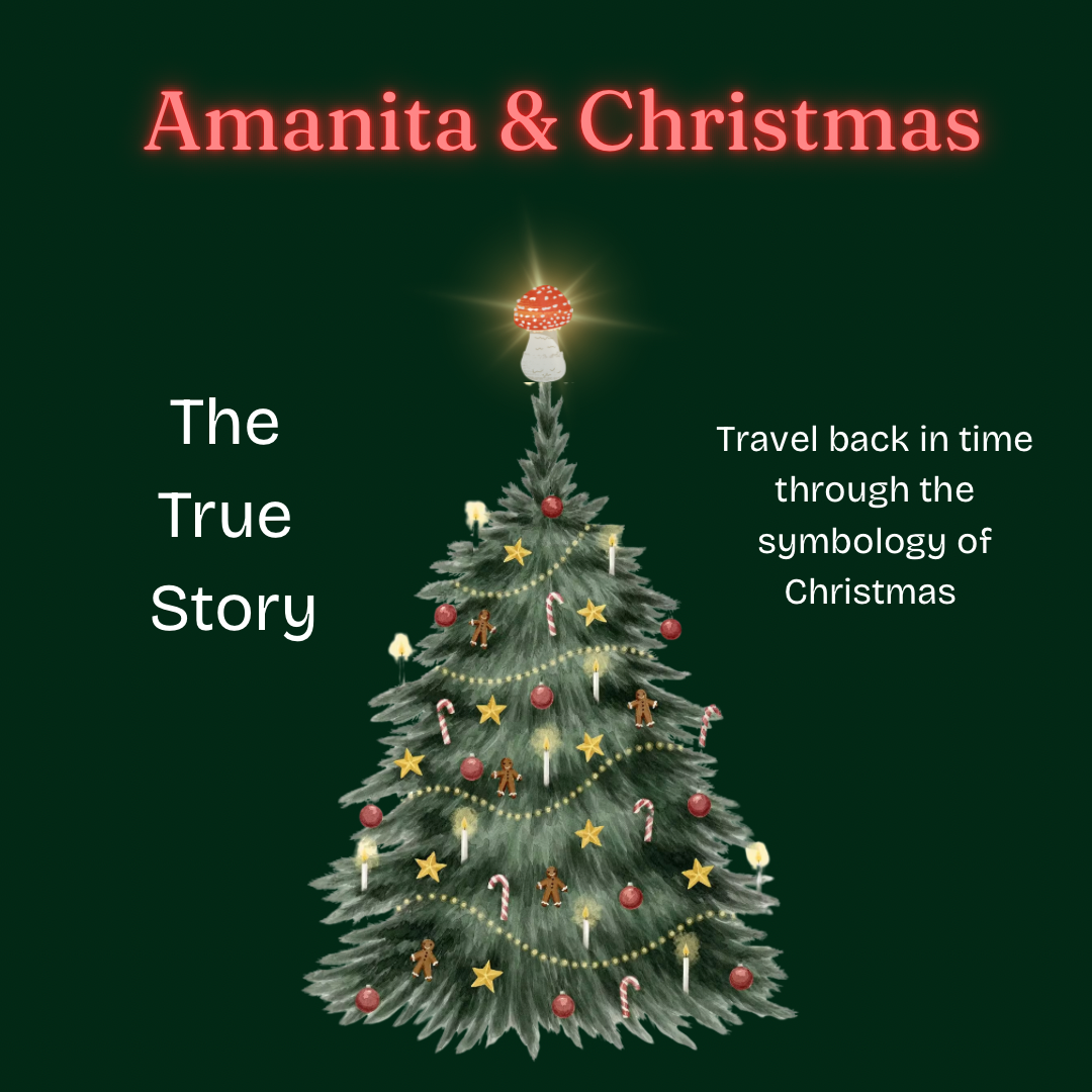 Amanita, Christmas & The World Tree - 12/19