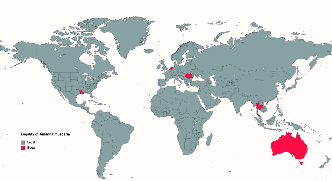 map of where is amanita muscaria legal and illegal