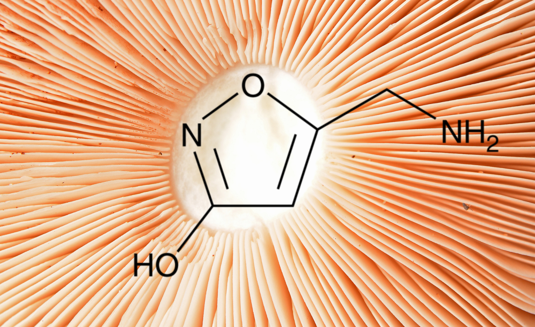 chemicals in amanita muscaria