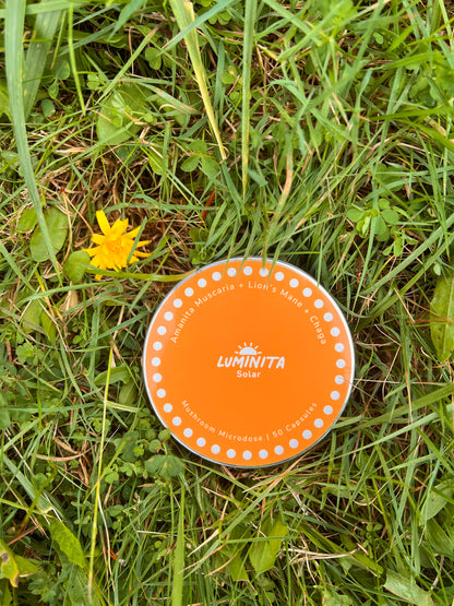 Solar: Amanita + Lion's Mane + Chaga Capsules