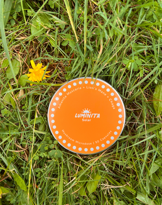 Solar: Amanita + Lion's Mane + Chaga Capsules