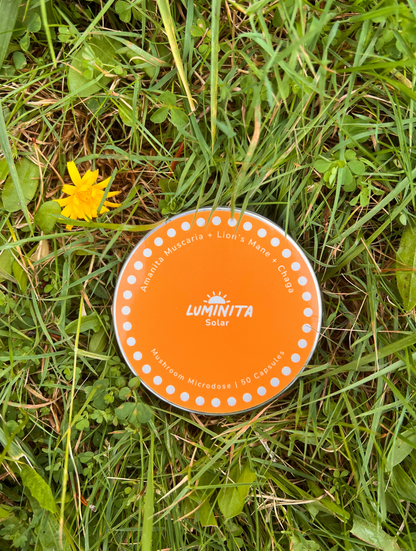 Solar: Amanita + Lion's Mane + Chaga Capsules