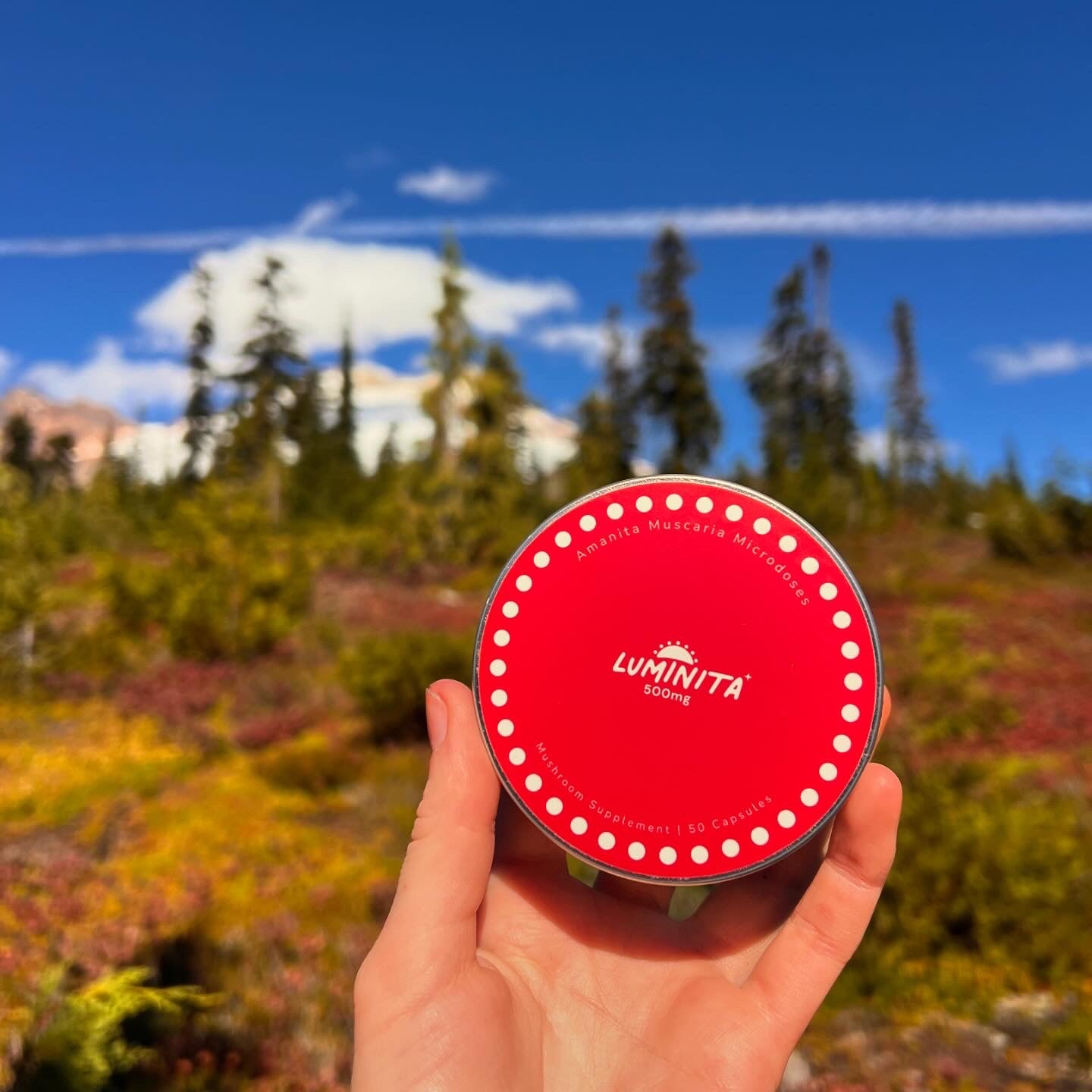 Amanita Muscaria Microdose Capsules
