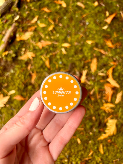 Solar: Amanita + Lion's Mane + Chaga Capsules