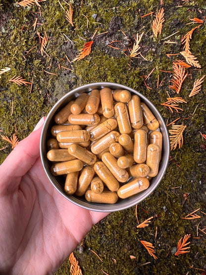 Solar: Amanita + Lion's Mane + Chaga Capsules