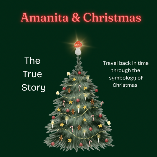 Amanita, Christmas & The World Tree - 12/19