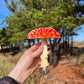 beautiful Amanita muscaria mushroom